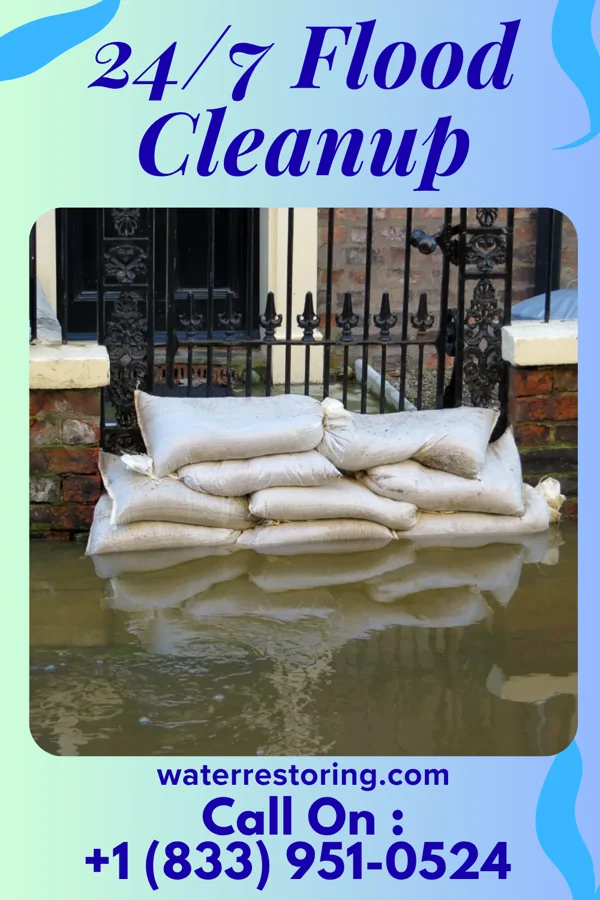 24/7 Flood Cleanup in Wellington, TX
