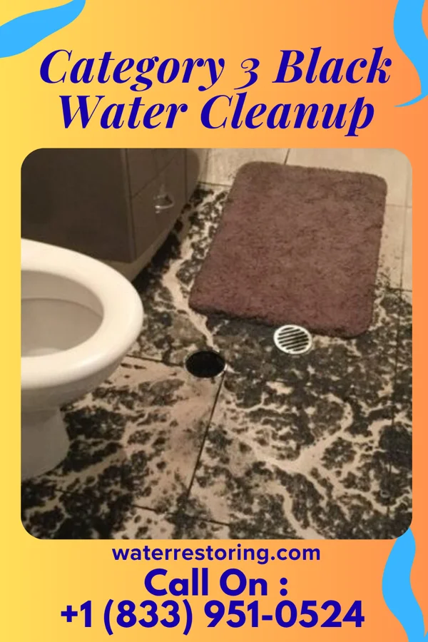 Category 3 Black Water Cleanup in Wellington, TX