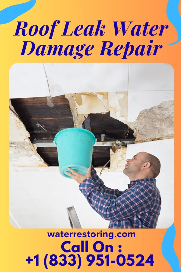 Roof Leak Water Damage Repair in Wellington, TX